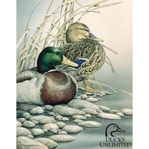   Outdoor Ducks Unlimited Tin Sign Interlude Trailsend