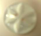 10X 14mm round2 HOLE FISH EYE BUTTONS IN WHITE
