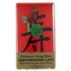    Feng Shui Luck Charm Empowering Life