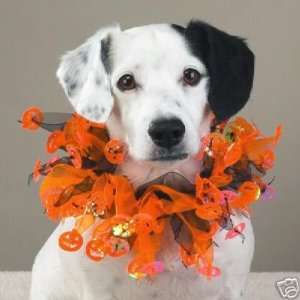   Halloween Orange Dog Collar Scrunchie MED