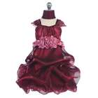 Chic Baby Toddler Girl Burgundy Rose Organza Special Occasion Dress 2
