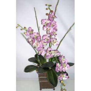 36 Triple Silk Phaleonopsis Orchid in Decorative Container  