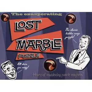  The Exasperating Lost Marble Puzzle Toys & Games