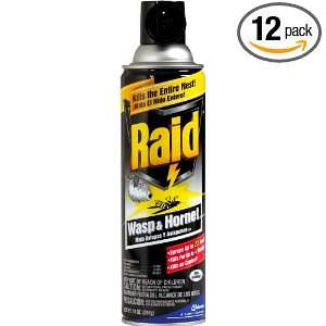  Raid Wasp & Hornet 14 Ounce Cans (Pack of 12) Health 