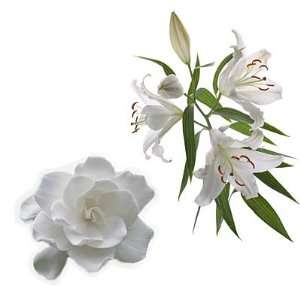  Gardenia Lily Candle / Soap Fragrance Oil 1oz Everything 