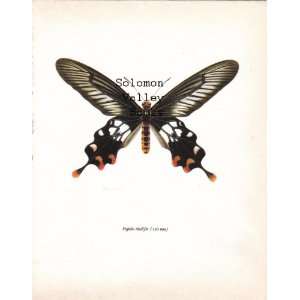  Papilio Rhodifer Butterfly (120 mm) Color Plate 8 X 10 