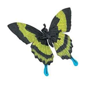 Green Swallowtail Butterfly by Safari