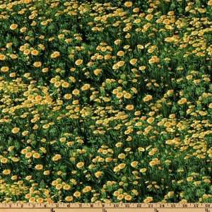  44 Wide American Elk Sunflower Yellow/Green Fabric By 