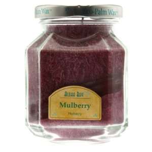   Bay   Candle, Scented Deco Jar, Mulberry (Wine) 8.5 oz