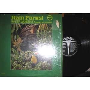  Rain Forest (Brazil) Walter Wanderley Music