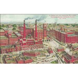   Group of the Principal Buildings, Anheuser Busch Brewing Plant, St