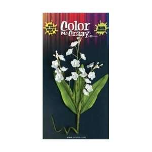  Color Me Crazy Bouquets 1/Pkg   Lily Of The Valley X 18 