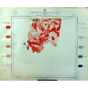  1929 Colour Map Italy Statistics Births Cagliari