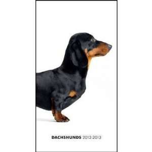  Dachshunds 2012 Pocket Planner