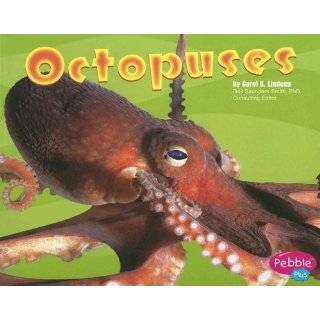 Octopuses (Under the Sea (Capstone Paperback)) by Carol Lindeen (Jan 1 