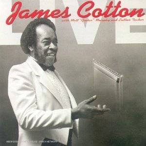  JAMES COTTON BLUES BAND