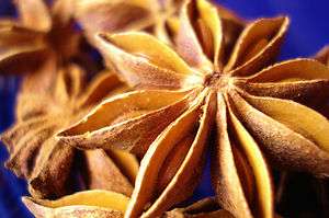 Organic Anise Star Pods (Herb Herbal Spice) 1 oz  