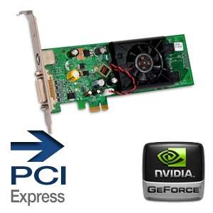 Genuine GeForce 8400 GS Video Card   256MB DDR2, PCI Express x1 