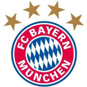 FC Bayern Logo   30x32 cm  Spielzeug