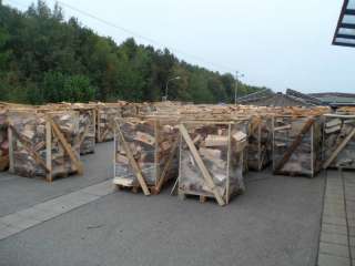 Holzbriketts mit Loch oder ohne Loch 1 Tonne, Brennholz, RUF in Bayern 