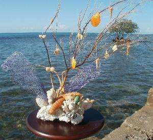   Designer Deco Centerpiece   Corals, SeaShells, Lobster & Crab  