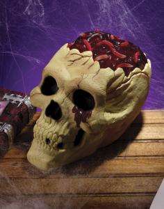 Skull With Bloody Brain   Decorations & Props
