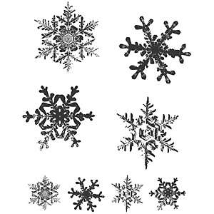 Stampers Anonymous Tim Holtz Cling Rubber Stamp Set   Grunge Flakes