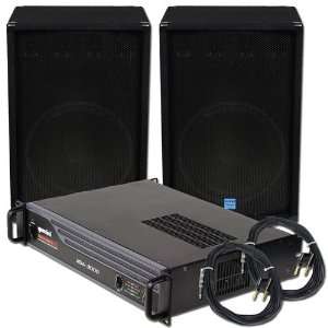  15 Inch Speakers & 3000 Watt Amp Package PA System 