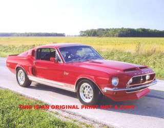 1968 Ford Mustang Shelby Cobra GT 500 KR hard to find muscle car print 