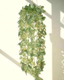 Caladium Ivy   37 (95cm)   Artificial Silk Plant Vine  
