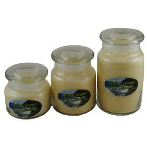  Lily of the Valley Soy Candle   3 Apothecary Pack Case 