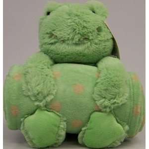  Animal and Blanket Toy and Blanket Green Frog