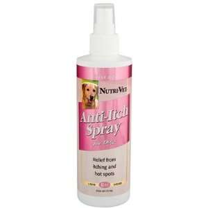 Anti Itch Spray   8 oz (Quantity of 6) Health & Personal 