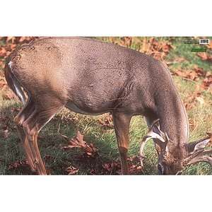  Martin Archery Game Targets   Whitetail Deer Sports 