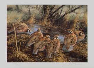 society conservation print bobwhite quail signed by artist david maass