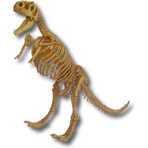  Small T Rex Skeleton Kit Toys & Games