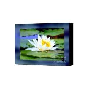  Water Lily with Blue Border   Digital Painting Canvas 