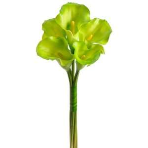  21 Calla Lily Bouquet X5 Green (Pack of 6)