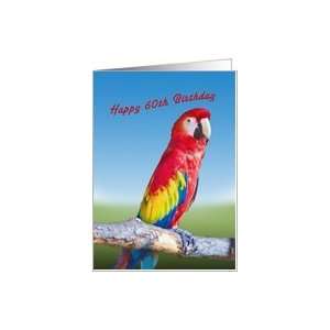  Birthday, 60th, Macaw Parrot Card Toys & Games