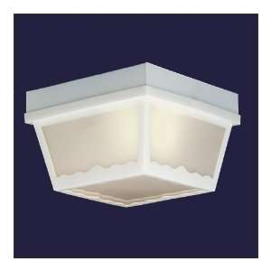   One Light Outdoor Ceiling Fixture, White Finish White Plastic Glass