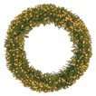 Norwood Fir Wreath with Clear Lights   Green (72 