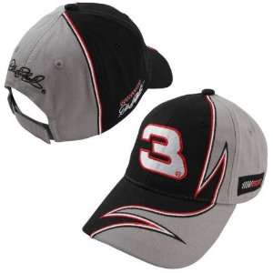  Dale Earnhardt Chase Authentics Spring 2012 Element Youth Hat 