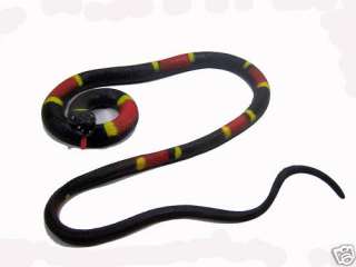 Foot Long Soft Rubber Eastern Coral Snake