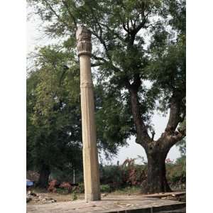 The Heliodorus Pillar, Vidisha, Madhya Pradesh State, India Premium 