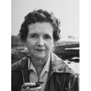  Biologist/Author Rachel Carson at the Seashore Stretched 