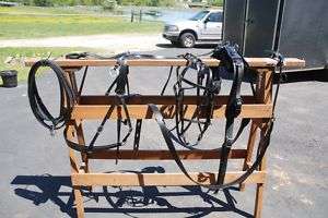 Amish beta horse   haflinger buggy harness 20 hames  