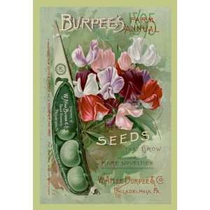  Burpees Farm Annual The Best Seeds That Grow 1895 12 x 