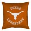 Texas Longhorns Bedding Collection  Target