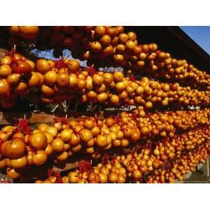 Ceremonial Gourds at a Shinto Temple on Ksushu Island, Japan Premium 