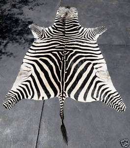 Zebra Skin Rug   African  